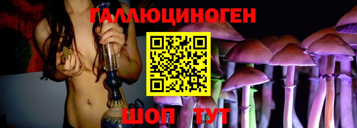 Псилоцибиновые грибы GOLDEN TEACHER Азнакаево