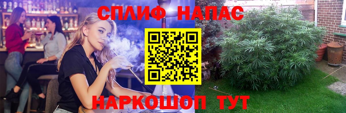 Бошки Шишки MAZAR  Каннабис план  Каннабис марихуана  Азнакаево  Каннабис VHQ  Вход с VPN 